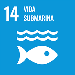 Objetivo 14: Vida submarina
